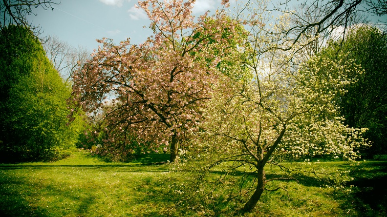 fruehling_2016.jpg